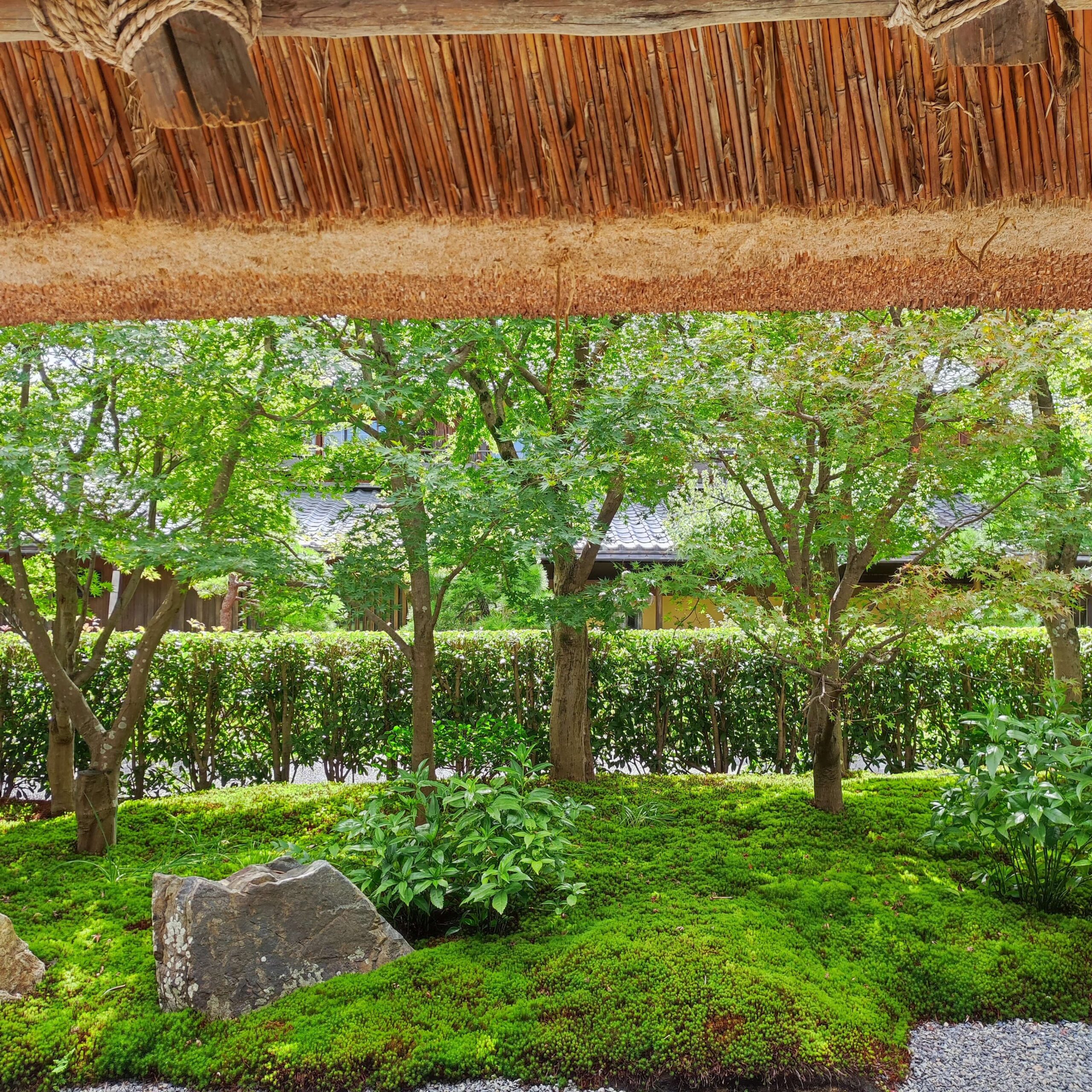 【嵐山】パンとエスプレッソと嵐山庭園